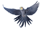 couple-1-1-e1718482927801.png